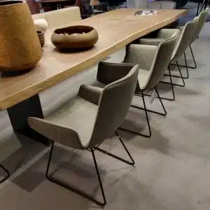 Freifrau - 4x Stuhl mit Armlehnen Amelie Leder muscat - LP 5.112,- EUR